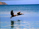 Magens Bay Beach St Thomas US Virgin Islands