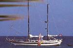 WILDFLOWER Charter Yacht